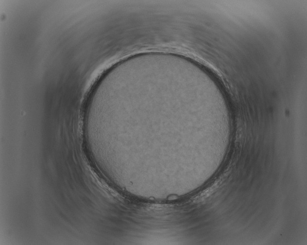 X0000087331506200705181023