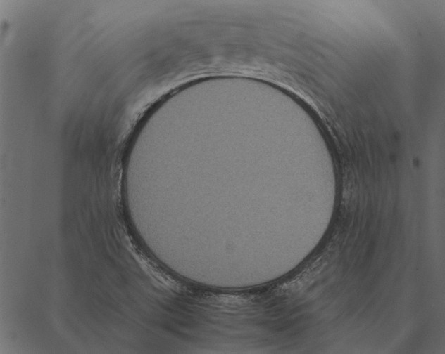 X0000087331507200705181023