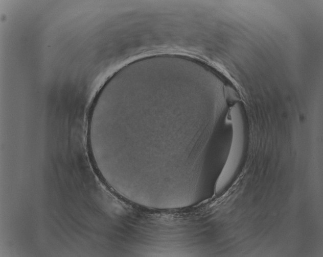 X0000087331508200705181023