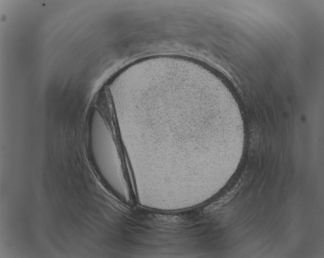 X0000087331509200705181023