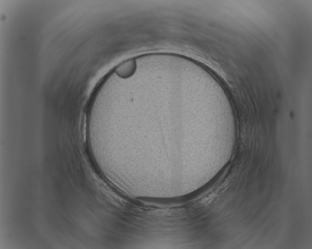 X0000087331510200705181023