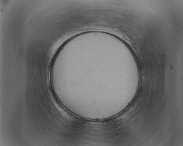 X0000087331511200705181023