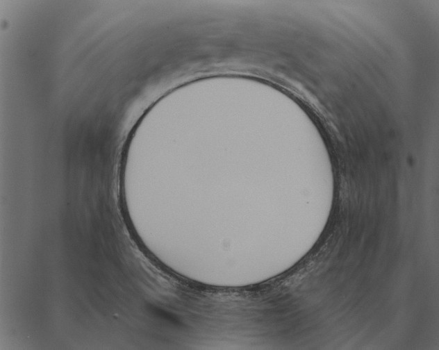 X0000087331512200705181023