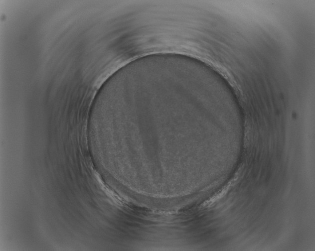 X0000087331513200705181023