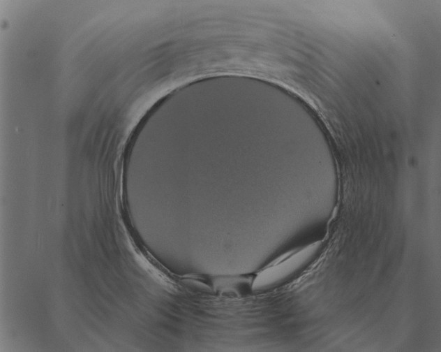 X0000087331515200705181023