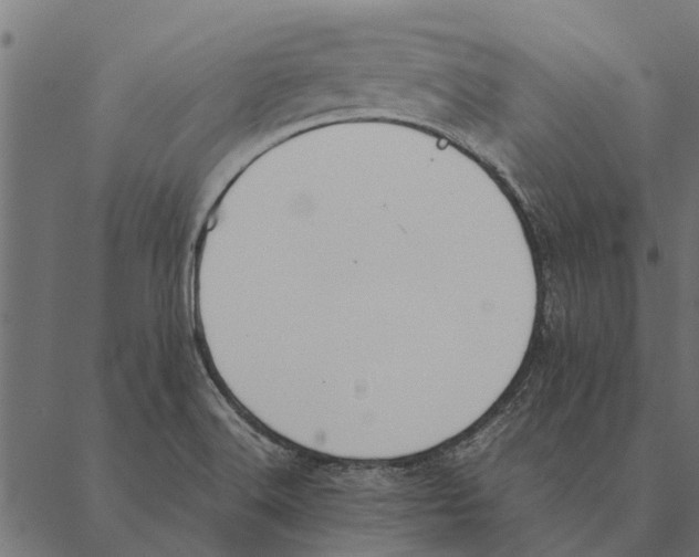 X0000087331516200705181023