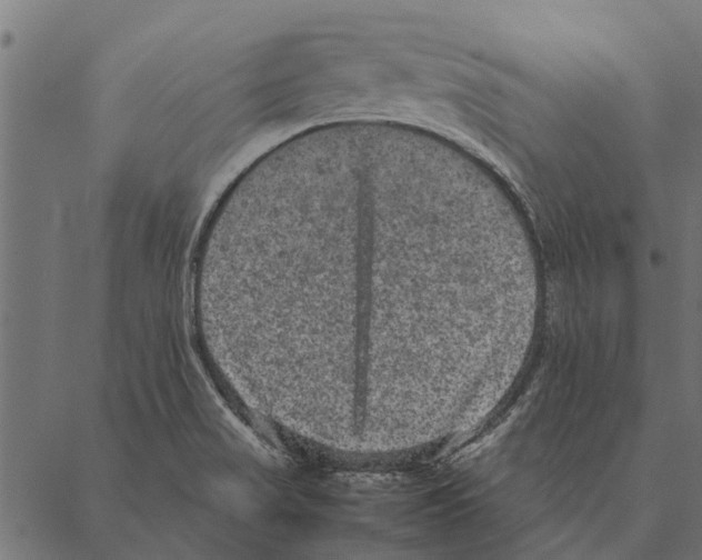 X0000087331517200705181023