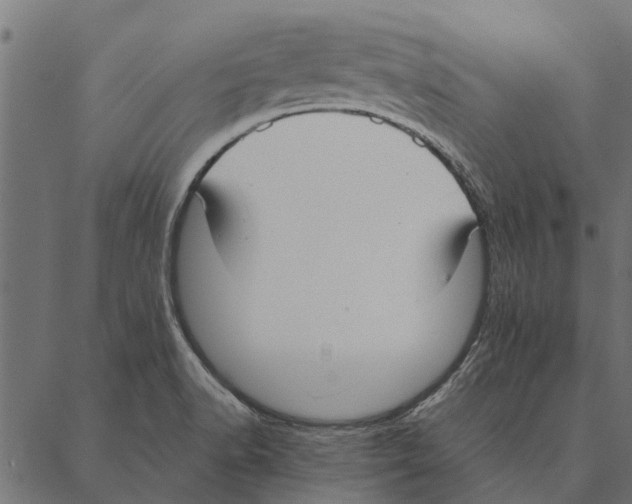 X0000087331518200705181023