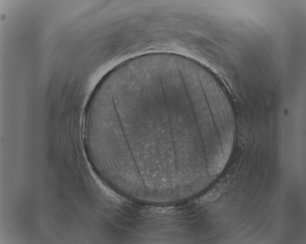 X0000087331519200705181023