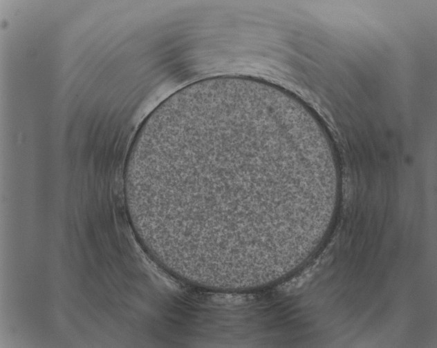 X0000087331521200705181023