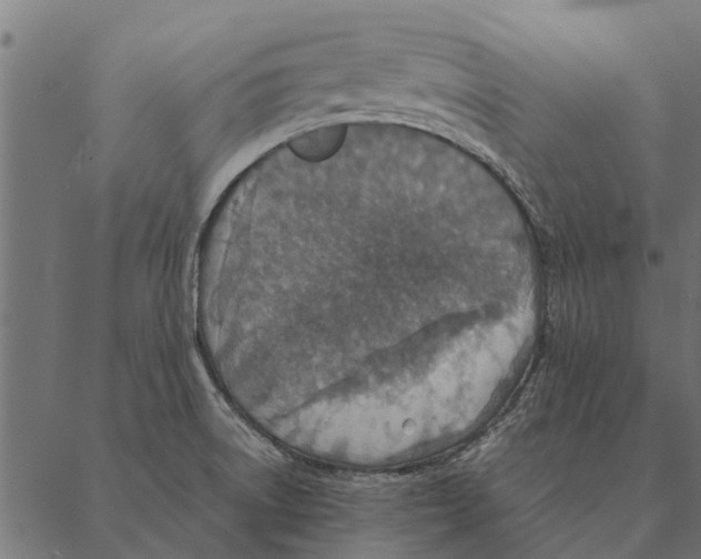 X0000087331522200705181023