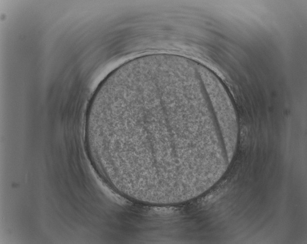 X0000087331523200705181023