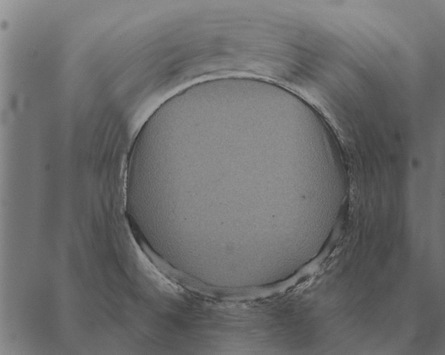 X0000087331524200705181023