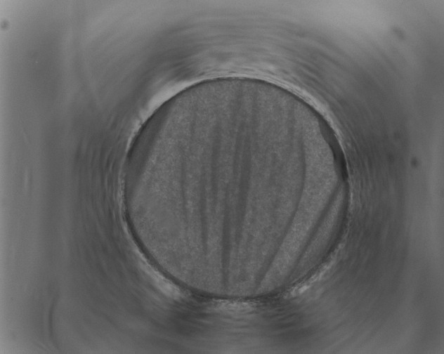 X0000087331525200705181023