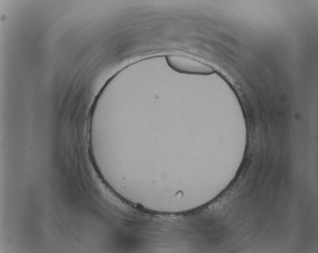 X0000087331526200705181023