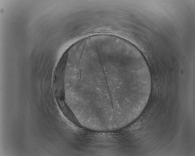 X0000087331527200705181023