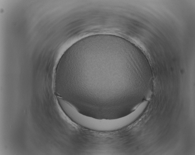 X0000087331528200705181023