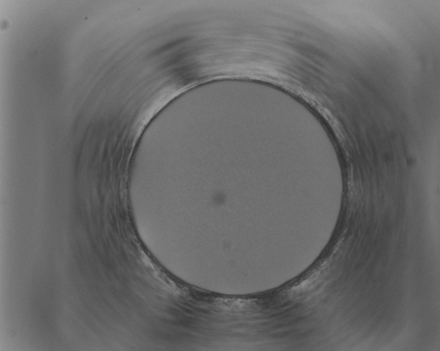 X0000087331529200705181023