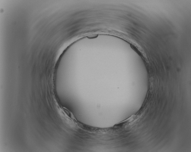 X0000087331530200705181023