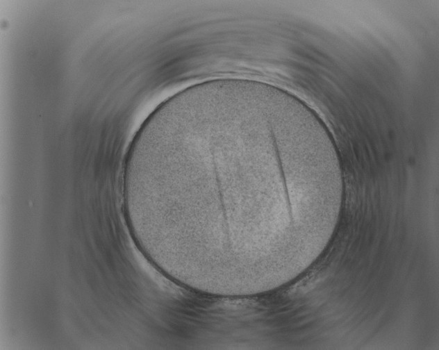 X0000087331531200705181023