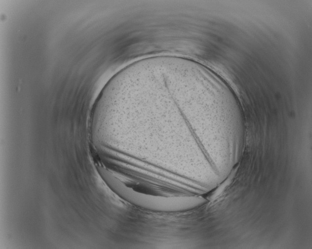 X0000087331532200705181023