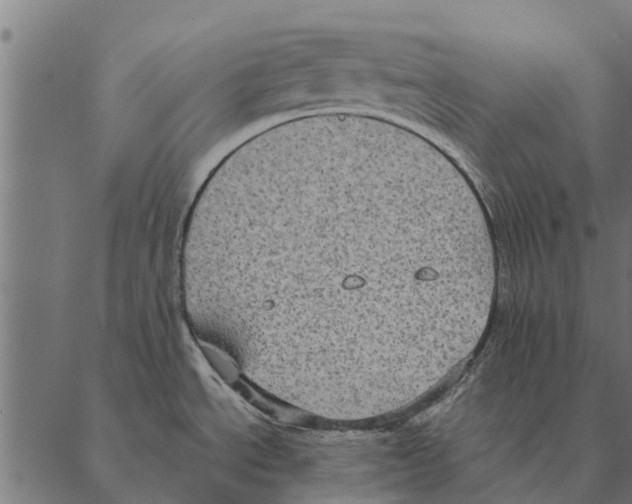 X0000087331534200705181023