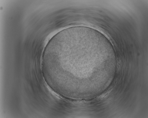 X0000087331535200705181023