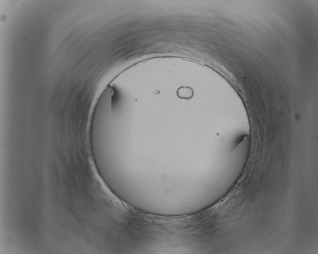 X0000087331536200705181023