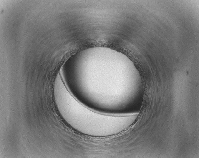 X0000087340037200704200757