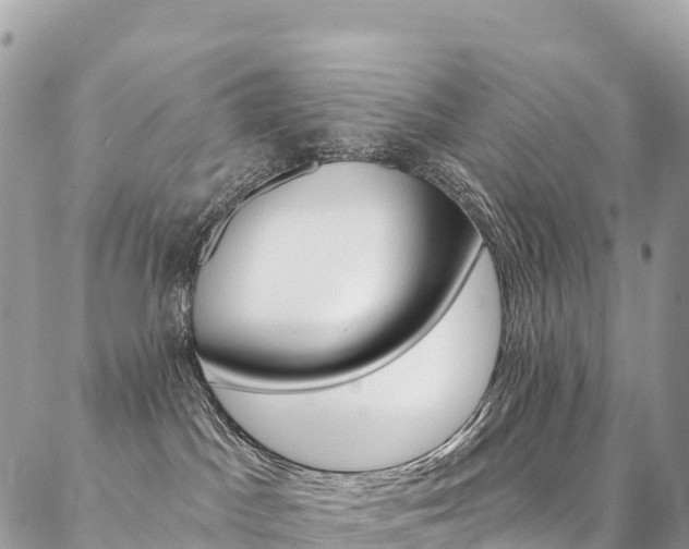 X0000087340045200704200756