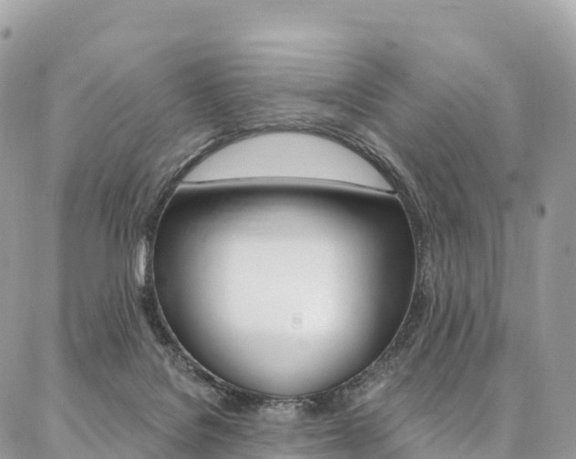X0000087340076200704200756