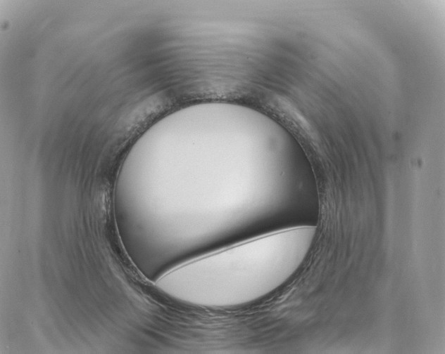 X0000087340119200704200755