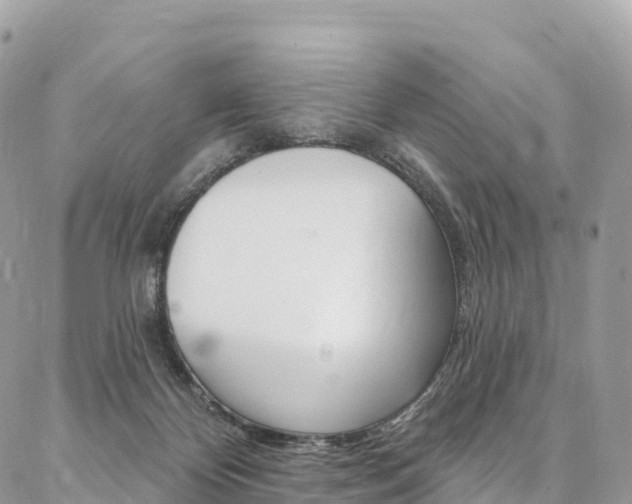X0000087340124200704200755