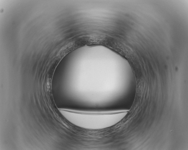 X0000087340137200704200755