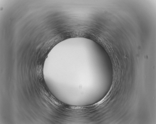 X0000087340144200704200755