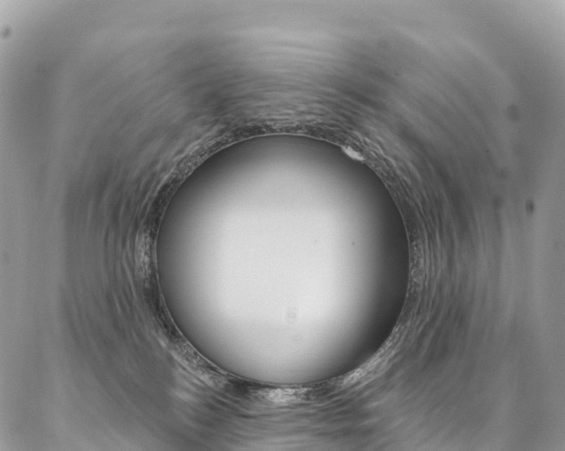 X0000087340184200704200755