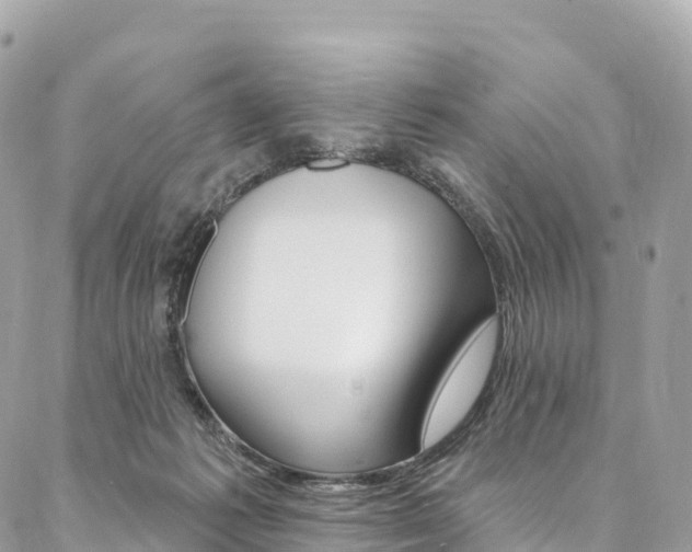 X0000087340221200704200753