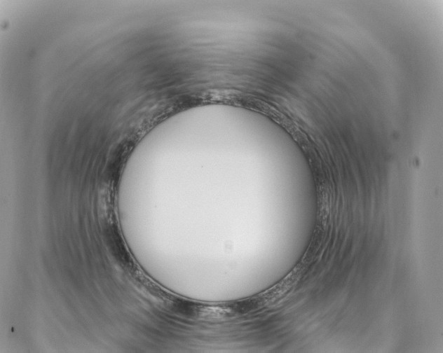 X0000087340222200704200753