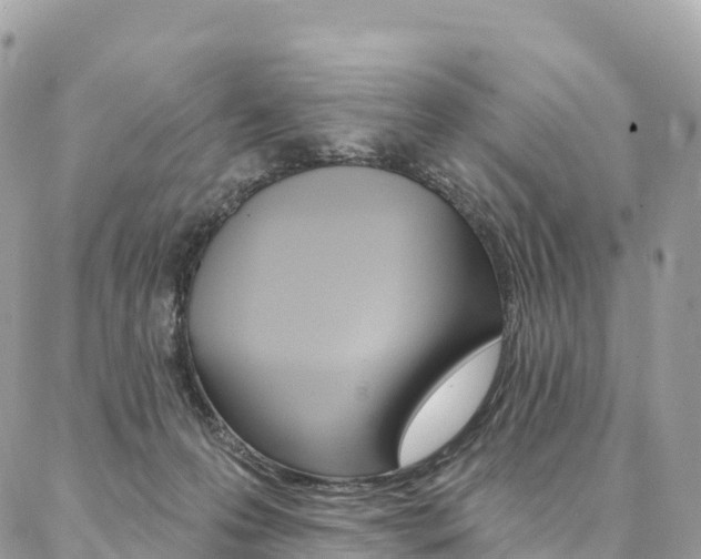 X0000087340223200704200753