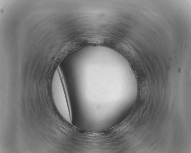 X0000087340229200704200753