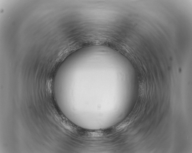 X0000087340286200704200753