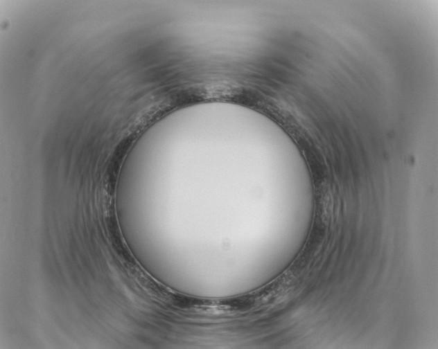 X0000087340316200704200752