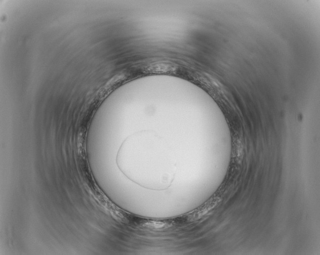 X0000087340326200704200752