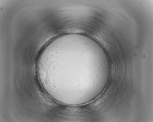 X0000087340351200704200751