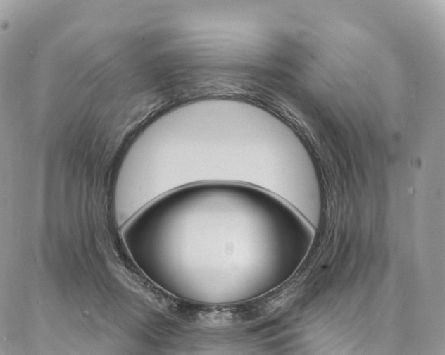 X0000087340362200704200751