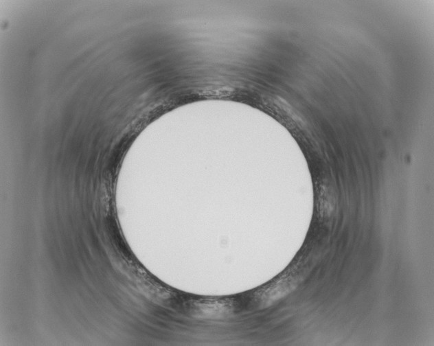 X0000087340370200704200751
