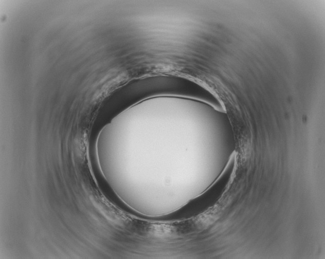 X0000087340376200704200751