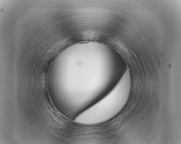 X0000087340413200704200750