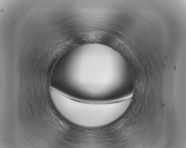 X0000087340416200704200750