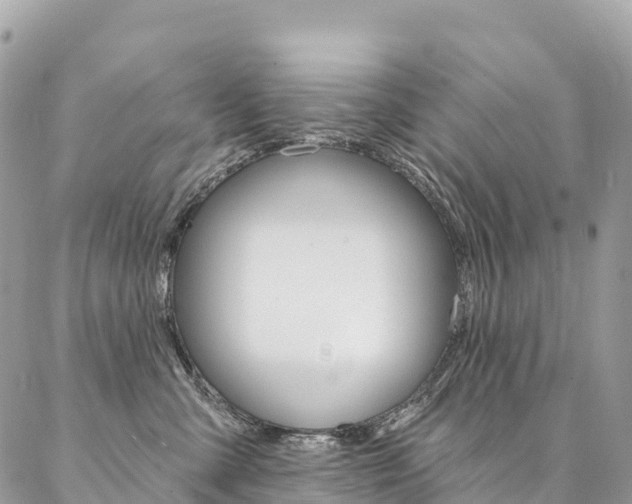 X0000087340427200704200750